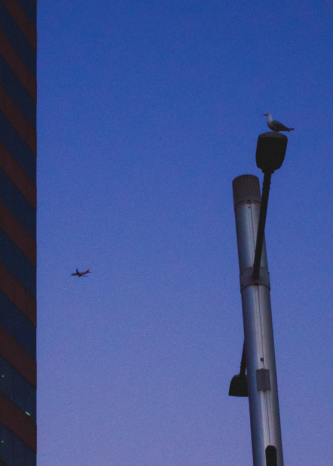 Blue Hour at Central Station