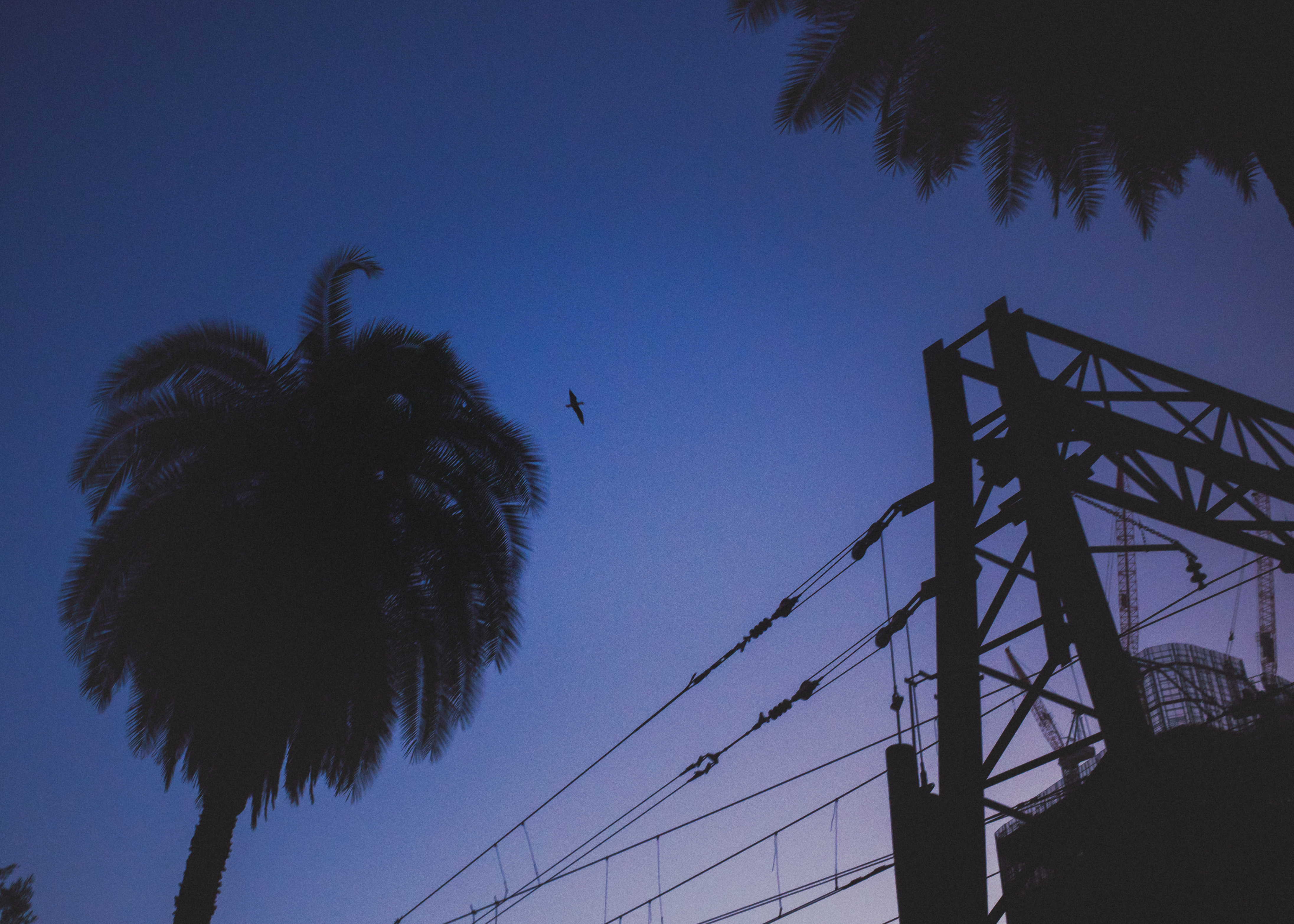 Blue Hour at Central Station